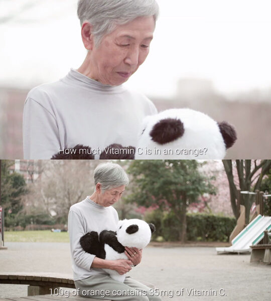 Google Panda Example