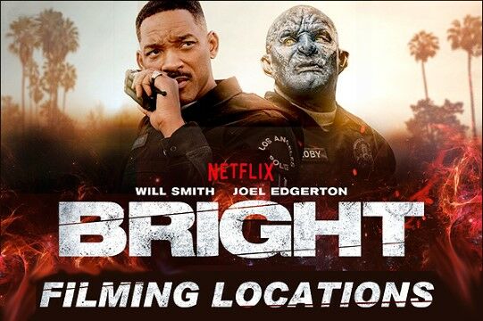 Film Bright Bd213