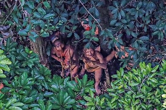 Suku Mante Kecil Ca279