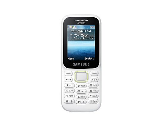Samsung Guru Music B310e