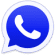 Whatsapp Plus Icon Icon