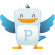 Plume Android Icon