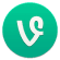 Vine For Android Icon