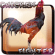 Ayam Icon