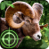 Wild Hunter 3d Icon