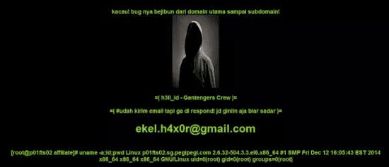 Kasus Hack Indonesia 3