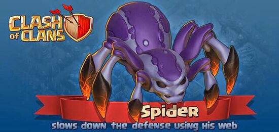 Coc Spider
