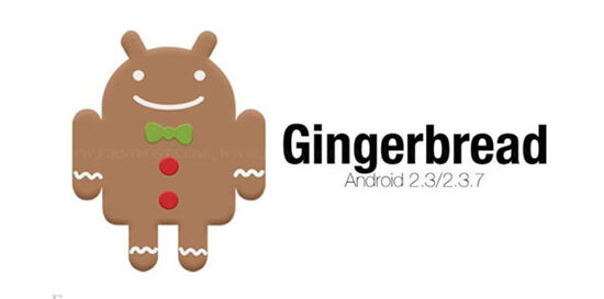Gingerbread Pict
