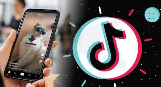 Download Video Tiktok 2b19b