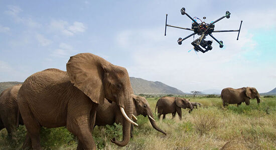 Dampak Negatif Drone 01