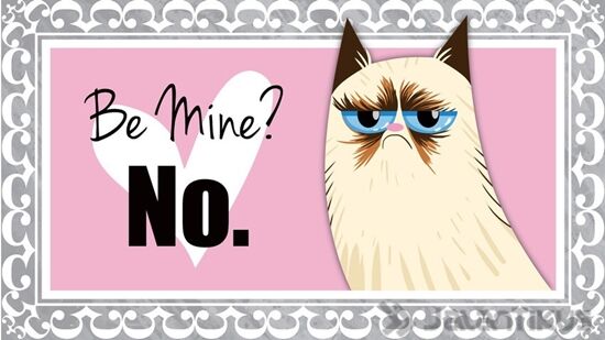 18 Kata Kata Lucu Yang Bisa Digunakan Untuk Menolak Hari Valentine 10