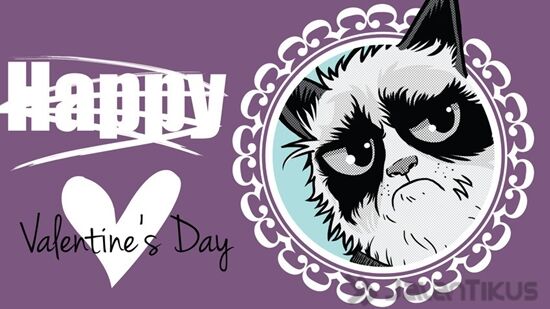 18 Kata Kata Lucu Yang Bisa Digunakan Untuk Menolak Hari Valentine 13