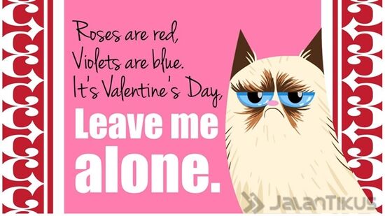 18 Kata Kata Lucu Yang Bisa Digunakan Untuk Menolak Hari Valentine 14