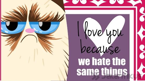 18 Kata Kata Lucu Yang Bisa Digunakan Untuk Menolak Hari Valentine 17