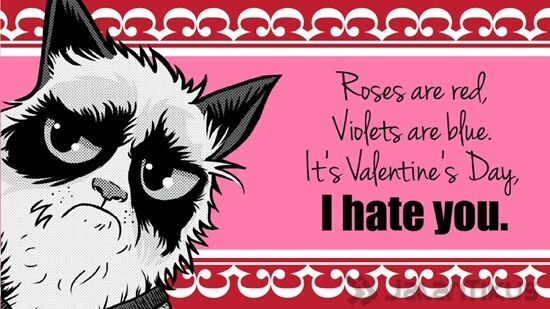 18 Kata Kata Lucu Yang Bisa Digunakan Untuk Menolak Hari Valentine 18