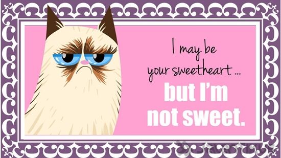 18 Kata Kata Lucu Yang Bisa Digunakan Untuk Menolak Hari Valentine 9