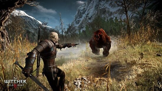 The Witcher Wild Hunt Ghost Mode