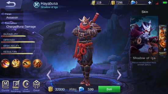 Hayabusa D13e7
