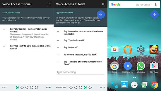 Google Voice Access