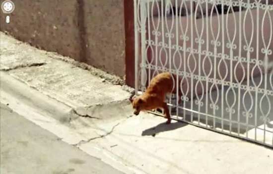 Peristiwa Aneh Di Google Street View 6