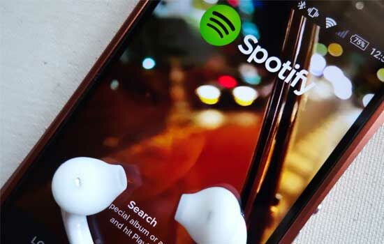 Cara Download Lagu Dari Spotify 7
