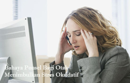 Bahaya Ponsel Bagi Otak Menimbulkan Stres Oksidatif