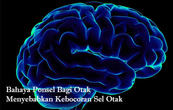 Bahaya Ponsel Bagi Otak Menyebabkan Kebocoran Sel Otak