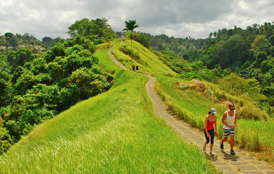  Liburan ke Bali Aplikasi Ini Bantu Kamu Cari Akomodasi 