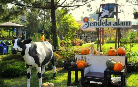 Wisata Edukasi Di Bandung 4