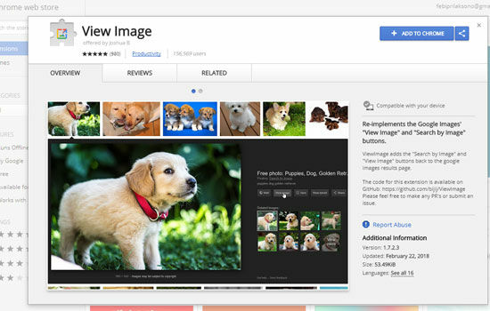 Cara Mengembalikan Tombol View Image Ekstensi