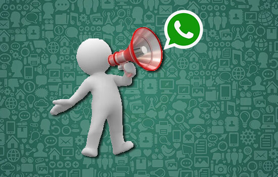 Cara Broadcast Whatsapp Android Ios 093e1