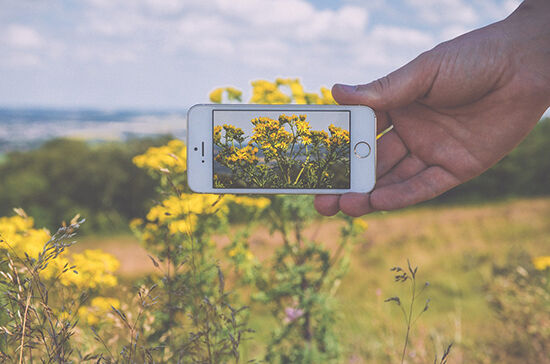 Tips Fotografi Smartphone Penuhi Viewfinder