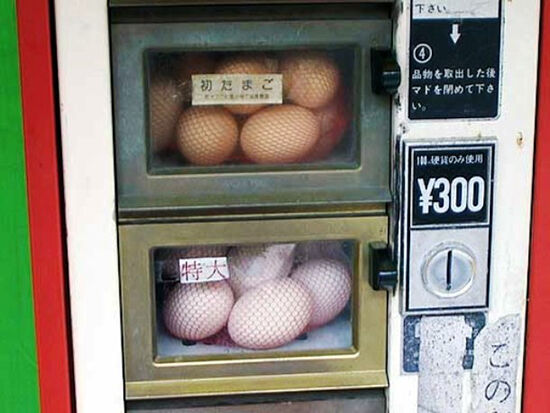 Wwwweirdasianewscom Eggvending