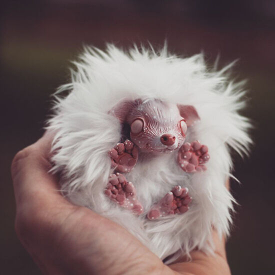 Foto Boneka Hewan Fantasi Lucu Dan Menyeramkan 22