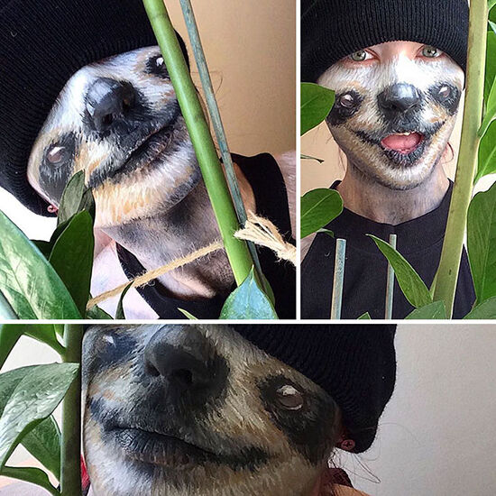 Sloth