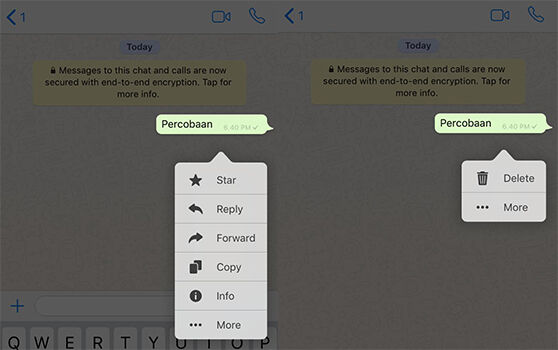 Cara Menarik Pesan Whatsapp Iphone 1 A56d9