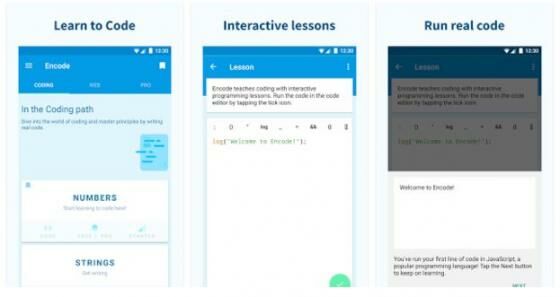 aplikasi-belajar-coding-2