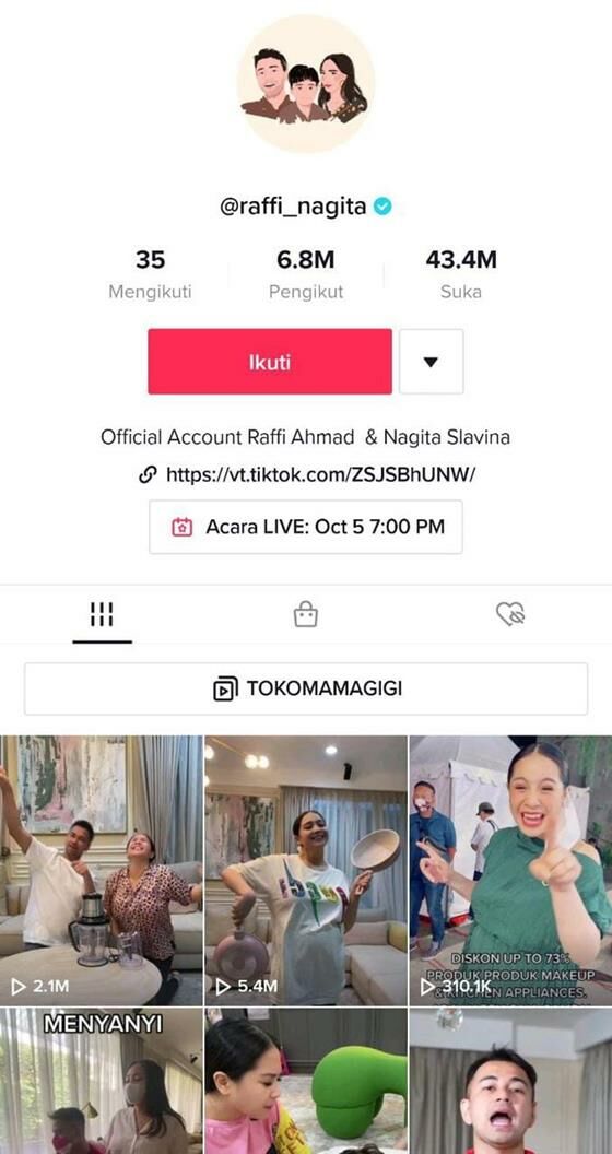 TikTok Raffi Ahmad 05030