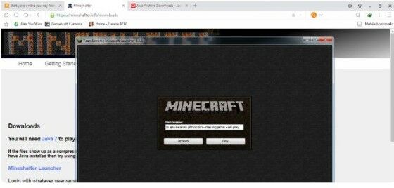 Minecraft Java Edition 1 16 D5046