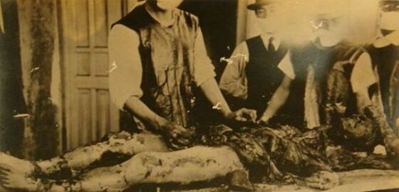 Unit 731 Ac5bc