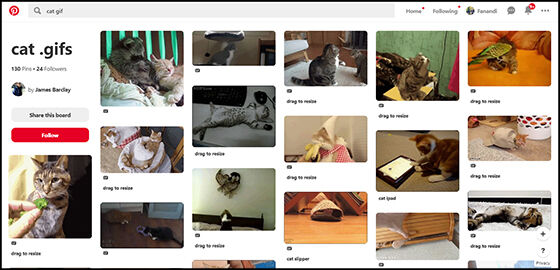 Cara Download Gif Dari Pinterest 1 C6502