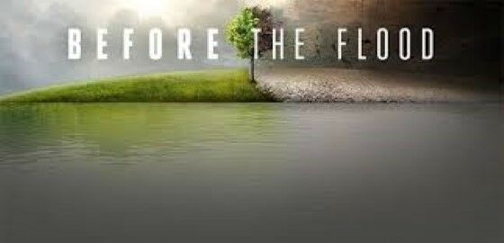 Before The Flood 2016 A340d