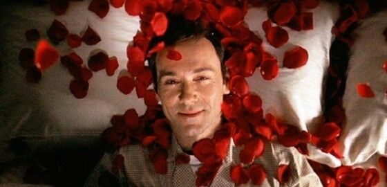 American Beauty C3c23