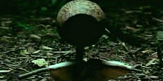 Ritual Pemanggil Hantu 1 B3e09