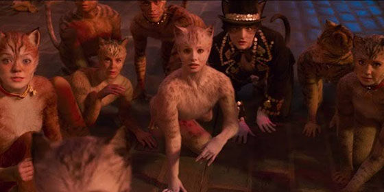 Cats E2c23
