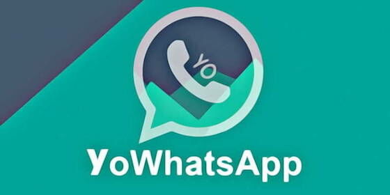 Download Apk Yowhatsapp Terbaru 2020 Apkpure 484d3