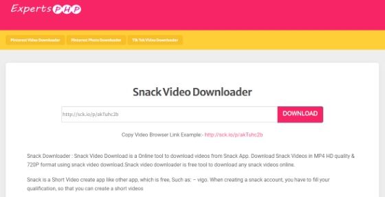 Experts Php Snack Video Downloader A6442