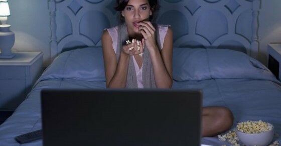 A Dbb19