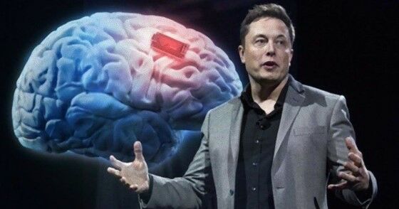 Chip Elon Musk 3 Custom Fba7a