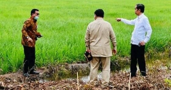 Pemerintah Kembangkan Food Estate B5fbe